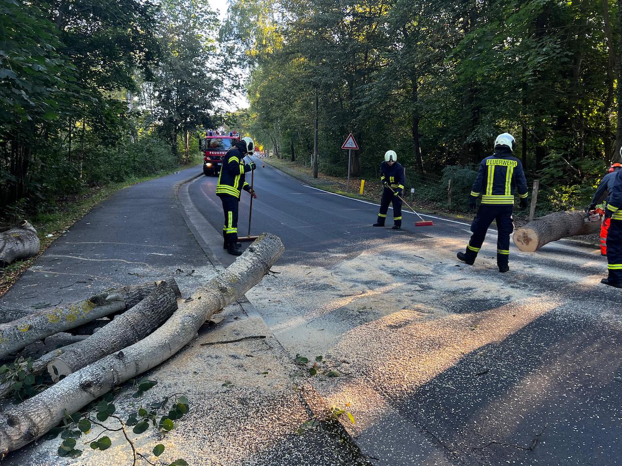 061 H:Klein in Döbern